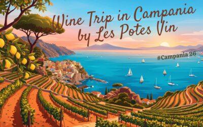 Wine Trip in Campania | Napoli – 12 au 17 septembre 2026