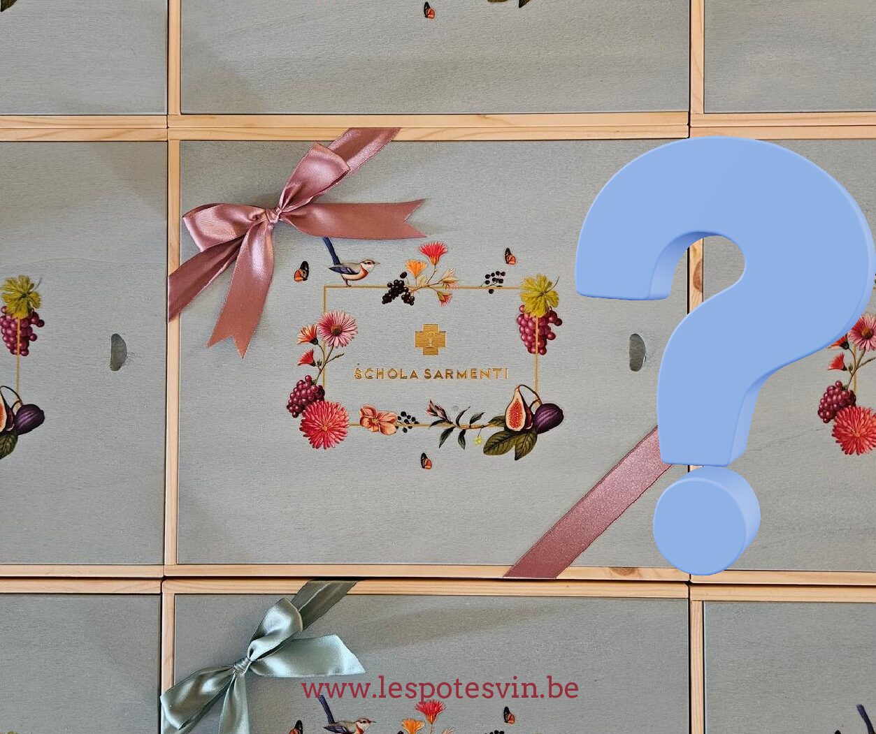 Coffret Surprise - Schola Sarmenti - 6 btl.