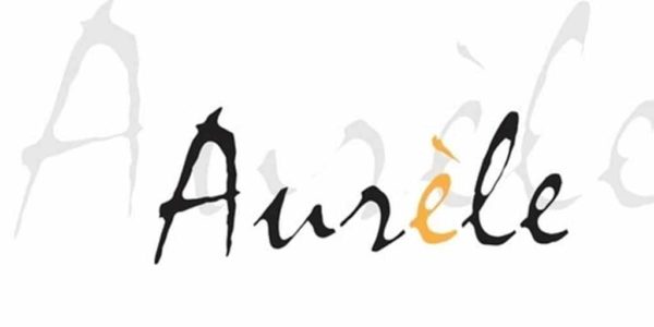 AURÈLE CHENIN - LES PIERRES D'AURÈLE - LOIRE – Image 3