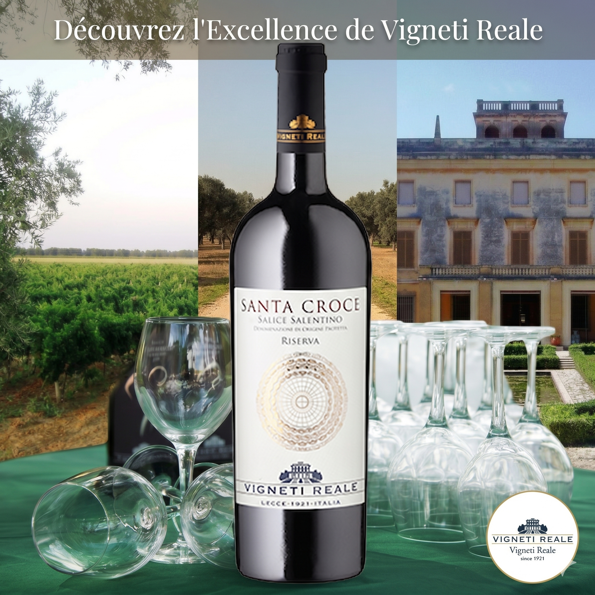 SANTA CROCE - Salice Salentino Réserve - Vigneti Reale - PUGLIA – Image 6