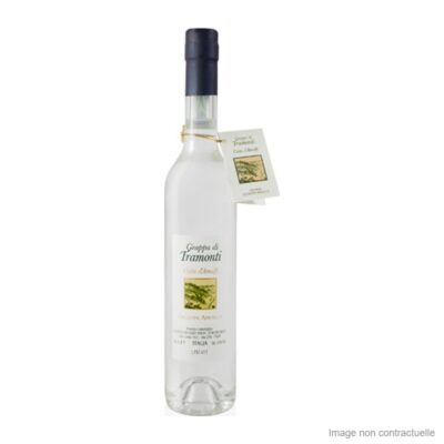 Grappa di Tramonti, Cantine Apicella