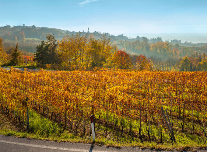 Le Piémonte, un paysage incroyable, indescriptible, qui donne l’impression de marcher au milieu d’une peinture.