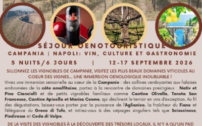 Wine Trip in Campania | Napoli du 12 au 17 septembre 2026